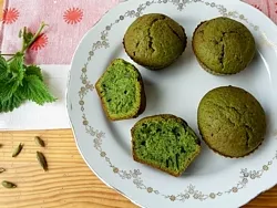 Retete cu fotografii de urzică (salata de urzică) Retete cu fotografii de urzică