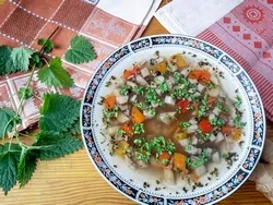Retete cu fotografii de urzică (infuzare urzică și sfecla) Retete cu fotografii de urzică