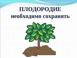 Bazându-se pe probleme de mediu - să aibă grijă de natură