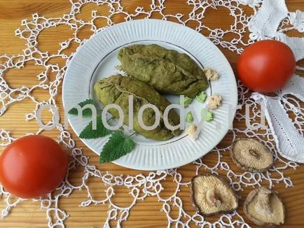 Retete cu fotografii de urzică (preparate urzica din reteta) Retete cu fotografii de urzică