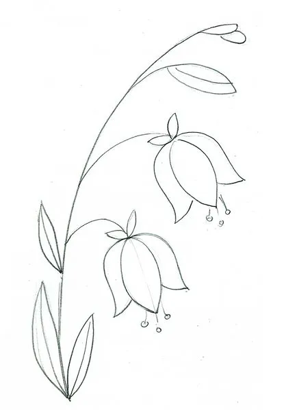 Desenați o floare - clopot creioane colorate treptat stabilo carbothello
