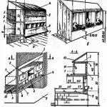 Ghid pentru producerea de celule pentru puii de carne cu desene și fotografii cu mâinile lor (de fabricație) Ghid pentru producerea de celule pentru puii de carne cu desene mâini și fotografii