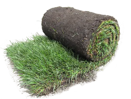 Cumpar gazon de la producător la Rostov-pe-Don