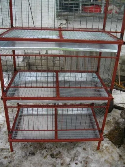 Ghid pentru producerea de celule pentru puii de carne cu desenele lor mâini și fotografii (cu mâinile) Ghid pentru producerea de celule pentru puii de carne cu desene mâini și fotografii