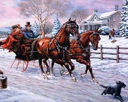 Sania pentru un cal