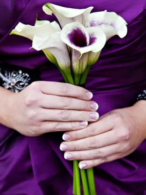 Cele mai populare culori pentru Floristica de nuntă (nunta) Cele mai populare culori pentru Floristica de nuntă