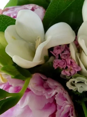 Cele mai populare culori pentru Floristica de nuntă (nunta) Cele mai populare culori pentru Floristica de nuntă