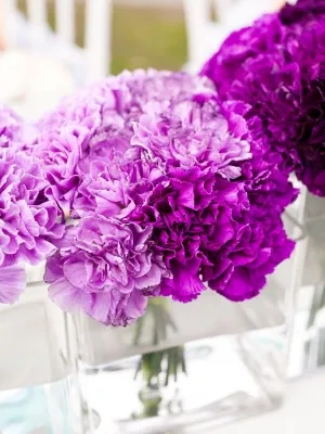 Cele mai populare culori pentru Floristica de nuntă (nunta) Cele mai populare culori pentru Floristica de nuntă