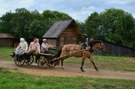 Privire de ansamblu asupra Sleigh și cal vagon de tipuri de design, instrucțiuni cu privire la modul de a valorifica un cal (sania) Privire de ansamblu asupra Sleigh și vagon de cal de tipuri de design, instrucțiuni cu privire la modul de a valorifica un cal