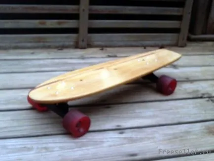 skateboard-ul de casă