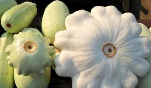 Secretele de suc de fructe în creștere în câmp deschis, cum să planteze și să aibă grijă de legume