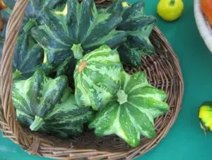 Secretele de suc de fructe în creștere în câmp deschis, cum să planteze și să aibă grijă de legume