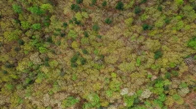 Cuburi de gheata de casa pentru fata