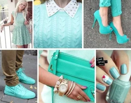 Ce culoare este combinat cyan și culoare cyan deschis în haine video și fotografii