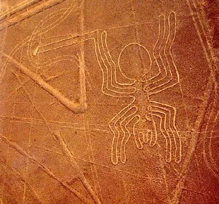 Simbolismul animalelor