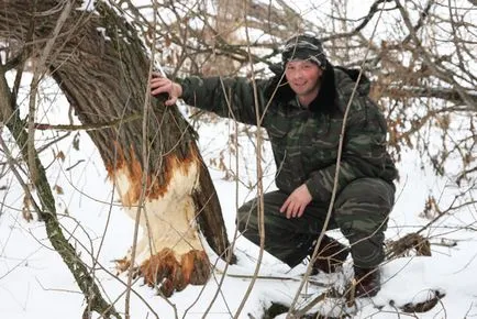 Ranger citit piese de animale