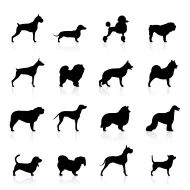 grafică Dog piesa de prelucrat 362 de descărcare clip arte (pagina 1)
