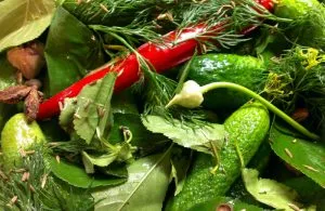 Muraturi way rece - 3 castraveți metodă crocante (castraveți) Pickles way rece - 3 castraveți metodă crocante