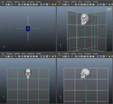 Punerea schelet uman 3d - atelier de creație Igorya Petunina