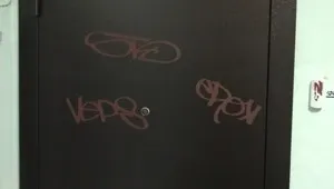 Un vis în minte