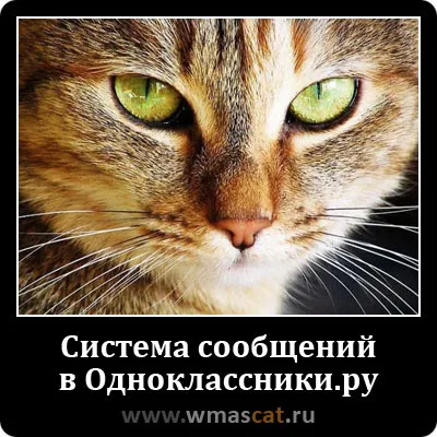 Posturi în, el însuși un dezvoltator web
