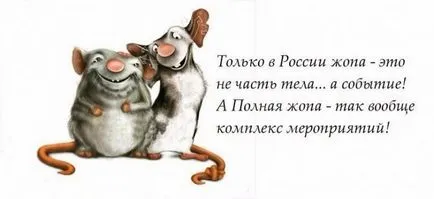 statuses haioase despre viata, stările amuzante (stări de viață amuzant) Stările haioase despre viata, stările amuzante