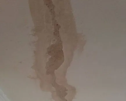 Metode cum să cimenteze fisurile din tavan foto, programe de instruire video