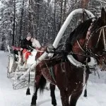 idei de nunta de iarna pentru sedinte foto, sedinta foto nunta iarna în ideile stradă foto despre fotografie și nu numai (nunta) idei de nunta de iarna pentru sedinte foto, sedinta foto nunta iarna în ideile stradă foto despre fotografie și nu numai