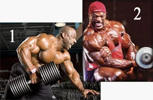 Superset Super Series TRISET, culturism de fitness