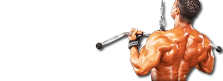 masei musculare uscată - ceea ce este