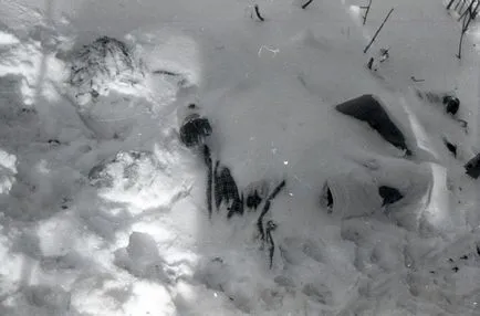 Teribila Misterul grupului Dyatlov moarte, lumea interesantă de călătorie, turism, psihologie, știință, (interesant) Teribila Misterul grupului Dyatlov moarte, lumea interesantă de călătorie, turism, psihologie, știință,