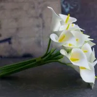 Buchet de calla