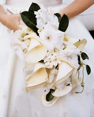 Buchet de crini, moda puls