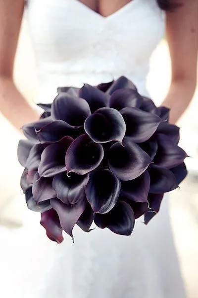 Buchet de crini, moda puls