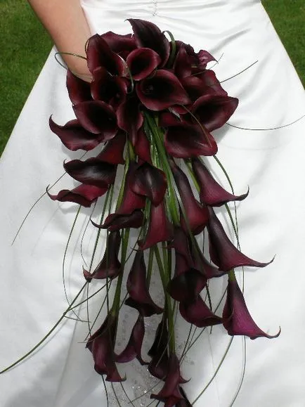 Buchete de nuntă de calla alegere perfecta pentru o mireasa sofisticata