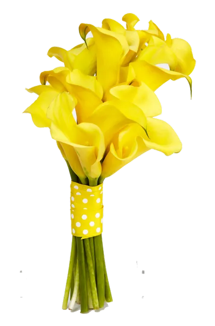 Buchete de nuntă de calla alegere perfecta pentru o mireasa sofisticata