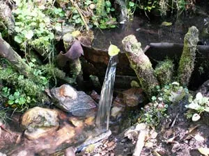 Zona de apă pură - izvor și apă de izvor (izvor) Teritoriul de apă curată - izvor, și apă de izvor