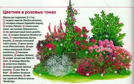 Paturi Schema de plante perene cu flori continue - plantarea flori forme de realizare (circuite) Paturi Schema de plante perene cu flori continue - plantarea flori materializări