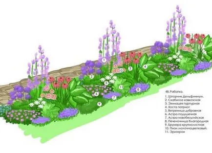 Paturi Schema de plante perene cu flori continue - variante de plantare flori (perene) Paturi Schema de plante perene cu flori continue - plantarea flori materializări
