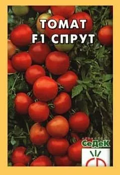 Tomate gradina caracatiță crească! (Tomate) Tomate gradina caracatiță crească!