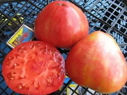 Tomate soiuri Alsou Descriere foto comentarii (poze) soiuri de tomate Alsou descriere fotografie recenzii