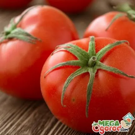 Tomate soiuri olandeze și de selecție a celor mai bune caracteristici ale cultivării lor