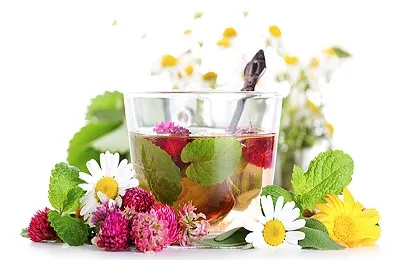 Plante medicinale pentru ficat cel mai bun pentru tratament (pentru a umple un litru de apă clocotită) Plante pentru ficat cel mai bun tratament