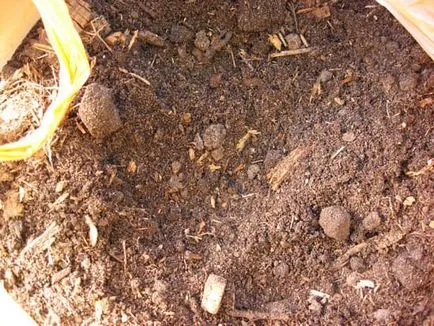 Gunoiului de grajd de la secvența de gunoi de grajd de gătit