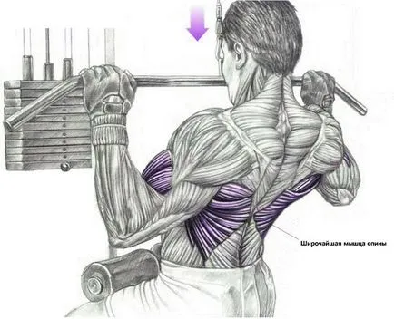 Link bloc vertical de performanță tehnică corectă, trainingbody