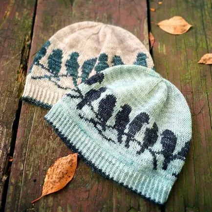 Învață să se tricot, fără ajutor, stând acasă pe canapea