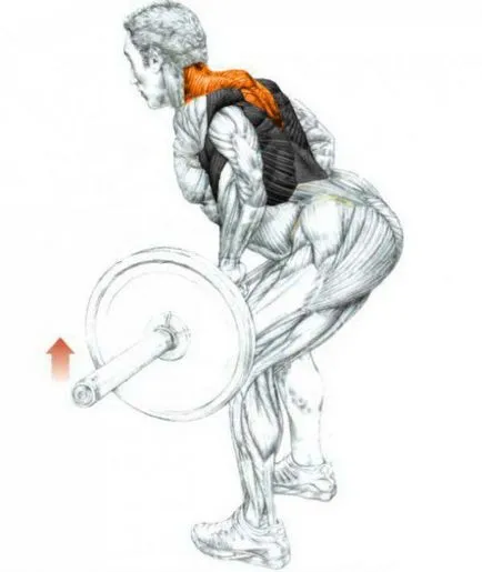 Instruirea înapoi la sala de sport îndoit tija până la talie (sport) Formarea înapoi la sala de sport îndoit tijă la centura
