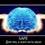 site-ul de indexare rapidă în Yandex - cât de repede robotul pentru a arăta noua pagina (Yandex) site-ul de indexare rapidă în Yandex - cât de repede robotul pentru a arăta nouă pagină