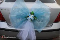 Decorare pentru achiziționarea de mașini în magazin on-line de accesorii pentru nunta cu livrare la Moscova și peste
