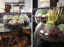 Decorarea interiorului cu propriile lor mâini
